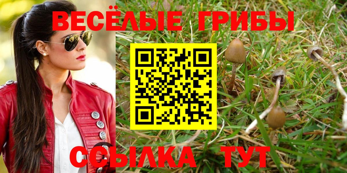 Нижневартовск  Галлюциногенные грибы Psilocybe  Псилоцибиновые грибы мицелий  Вход с VPN 